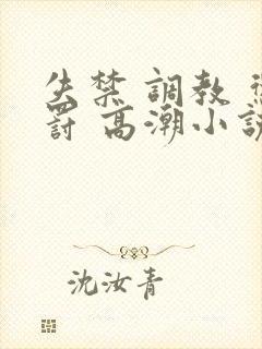 失禁 调教 惩罚 高潮小说封面