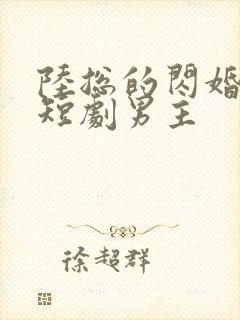 陆总的闪婚甜妻短剧男主