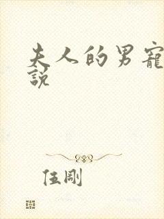 夫人的男宠们小说