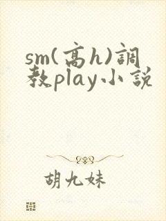 sm(高h)调教play小说
