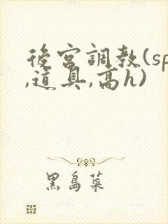 后宫调教(sp,道具,高h)封面