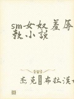 sm女奴羞辱调教小说