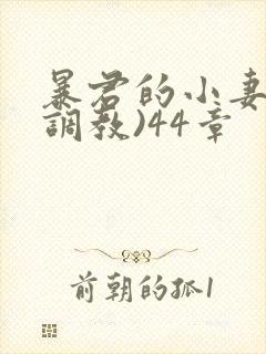 暴君的小妻奴(调教)44章