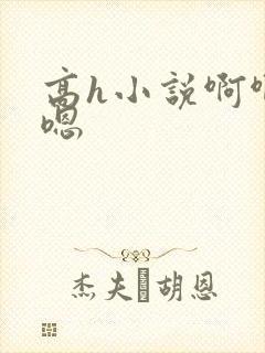 高h小说啊啊啊嗯