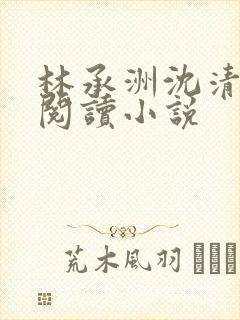 林承洲沈清免费阅读小说