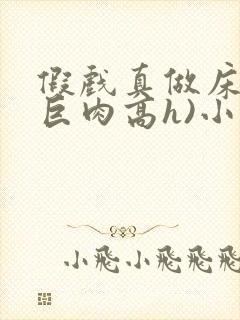 假戏真做床戏(巨肉高h)小说