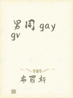 男同 gay gv