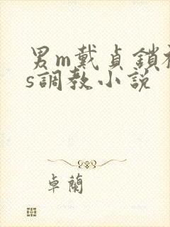 男m戴贞锁被女s调教小说封面