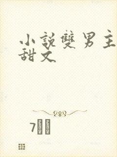 小说双男主推荐甜文