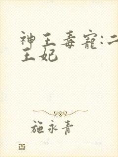 神王毒宠:二嫁王妃