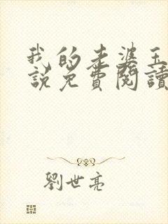 我的老婆玉珊小说免费阅读