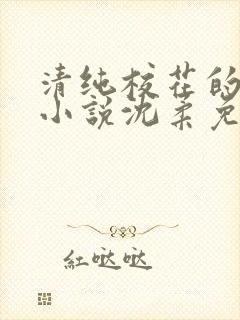 清纯校花的日常小说沈柔免费阅读