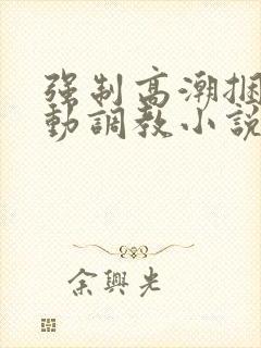 强制高潮捆绑震动调教小说