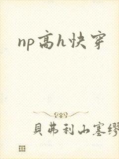 np高h快穿封面