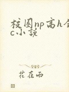 校园np高h全c小说封面