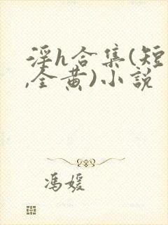 淫h合集(短篇,全黄)小说封面