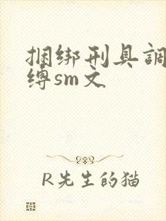 捆绑刑具调教束缚sm文