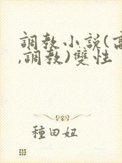 调教小说(高h,调教)双性