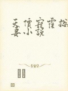 天价宠霍总小娇妻小说