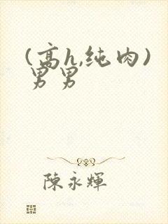 (高h,纯肉)男男