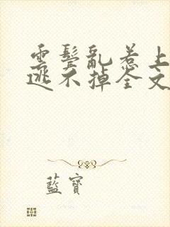 云鬓乱惹上权臣逃不掉全文封面