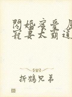 闪婚蜜爱 厉少宠妻太霸道封面