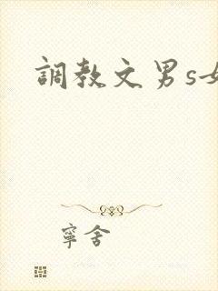调教文男s女m
