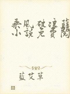 乘风破浪薛家良小说免费阅读笔趣阁