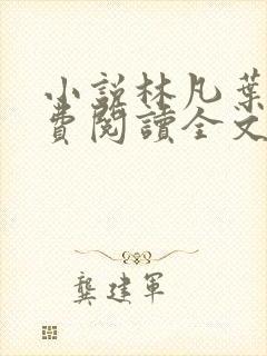 小说林凡叶惜免费阅读全文最新