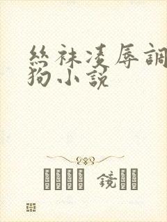 丝袜凌辱调教母狗小说