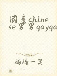 国产chinese男男gaygay网站在线观看