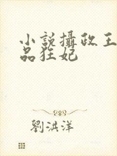 小说摄政王的医品狂妃