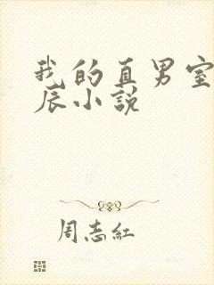 我的直男室友张辰小说封面