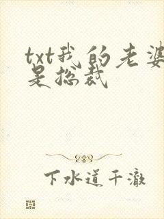 txt我的老婆是总裁