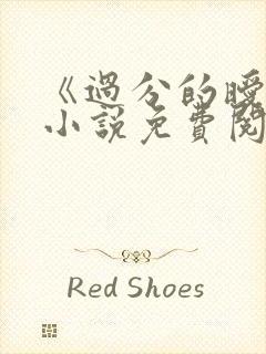 《过分的暧昧》小说免费阅读全文