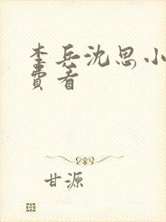 李兵沈思小说免费看