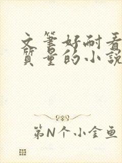 文笔好耐看的高质量的小说推荐