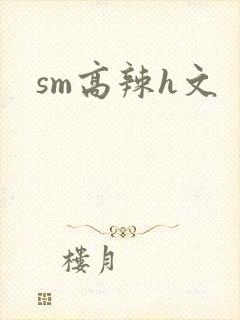 sm高辣h文封面
