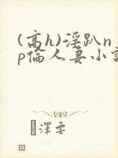 (高h)淫趴np伦人妻小说