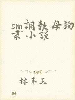 sm调教母狗奴隶小说