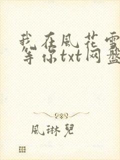 我在风花雪月里等你txt网盘封面