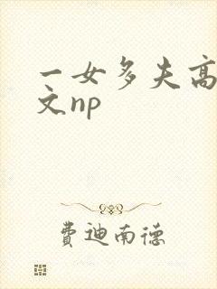 一女多夫高辣h文np