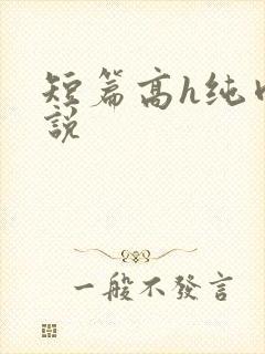 短篇高h纯肉小说