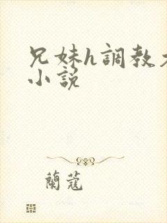 兄妹h调教木马小说