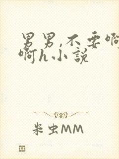 男男,不要啊啊啊h小说