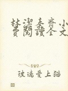 林洁秦齐小说免费阅读全文最新章节封面