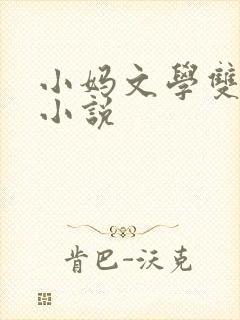 小妈文学双男主小说