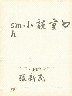 sm小说重口高h
