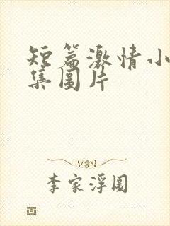 短篇激情小说合集图片