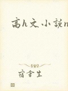 高h文小说np
